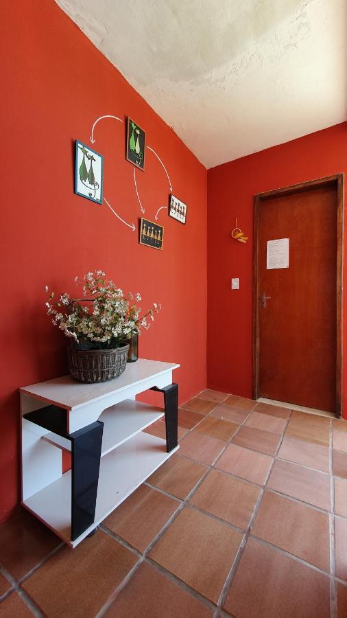 Gato Do Mato Hostel Кумбуко Экстерьер фото