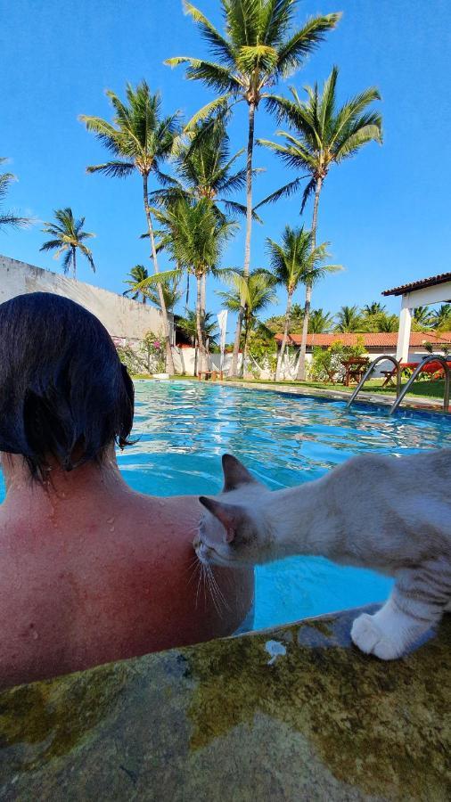 Gato Do Mato Hostel Кумбуко Экстерьер фото