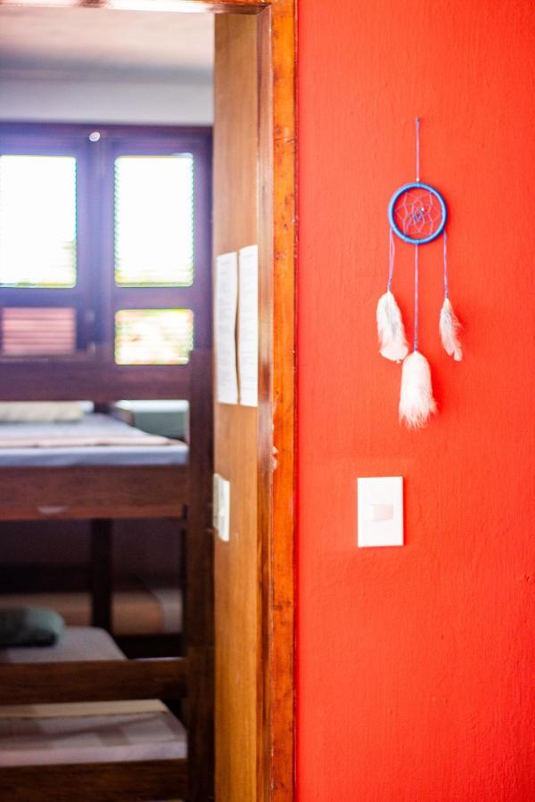 Gato Do Mato Hostel Кумбуко Экстерьер фото