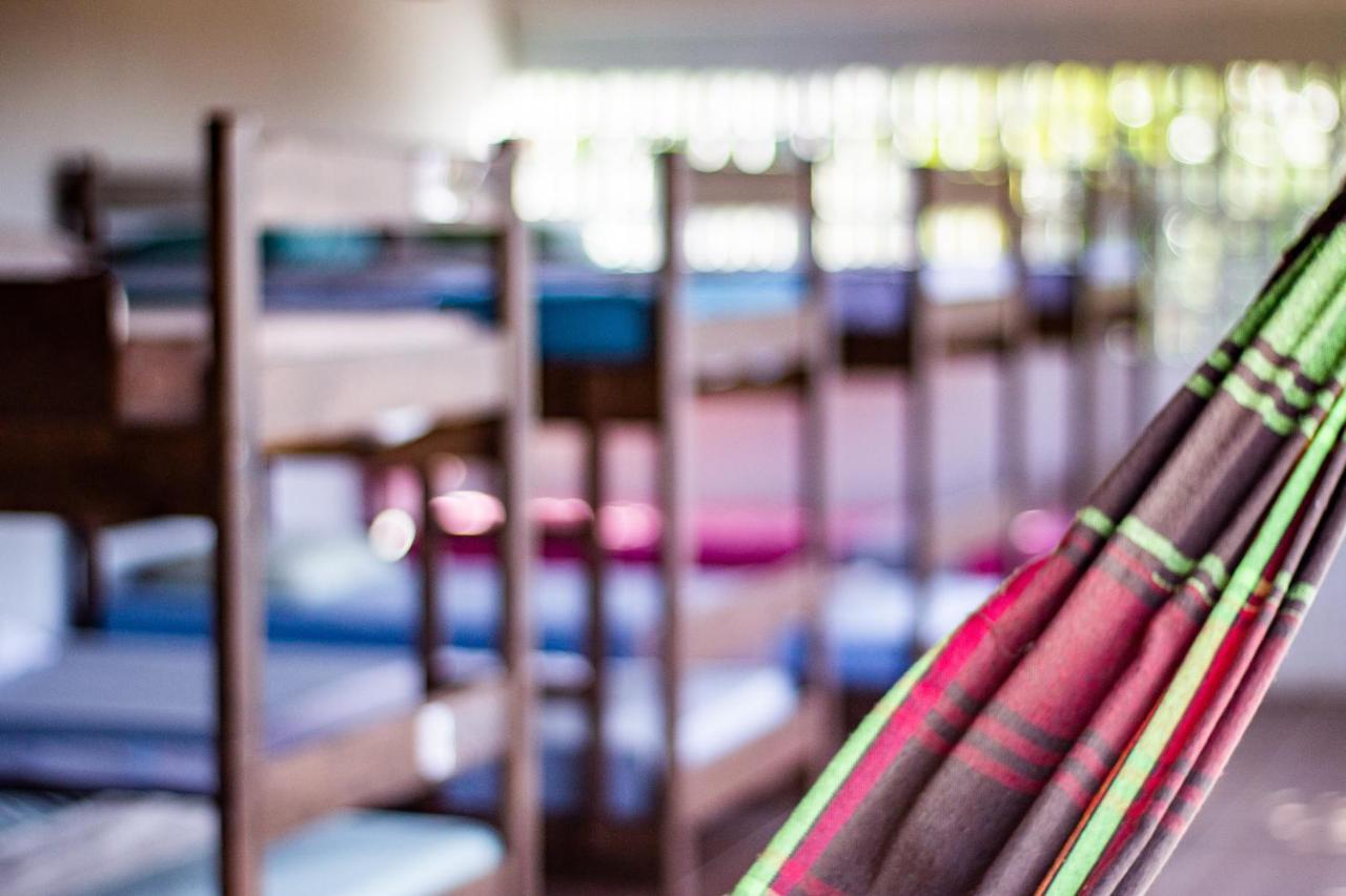 Gato Do Mato Hostel Кумбуко Экстерьер фото
