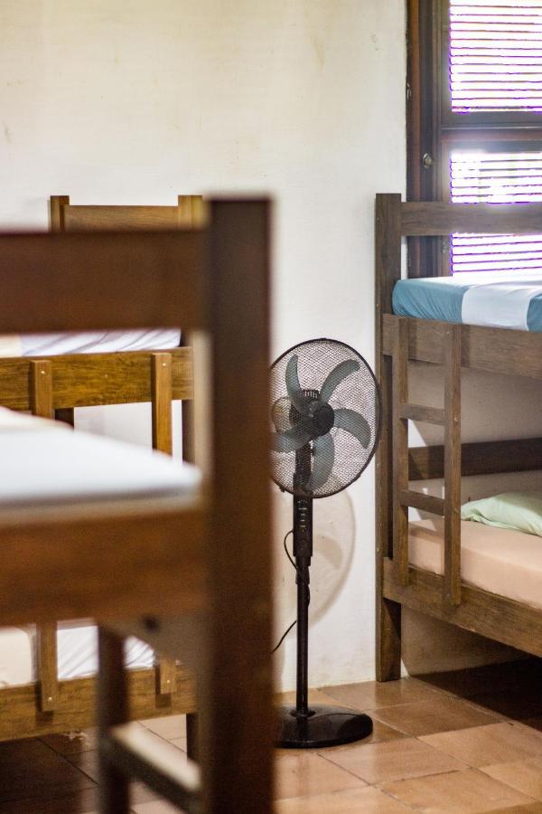 Gato Do Mato Hostel Кумбуко Экстерьер фото