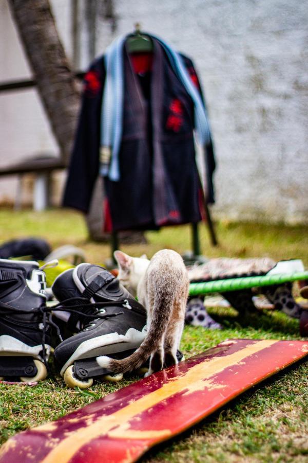 Gato Do Mato Hostel Кумбуко Экстерьер фото